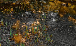 B 135 klein.jpg B 135 klein.jpg