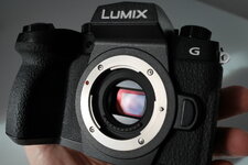 Panasonic Lumix G90_0006.JPG