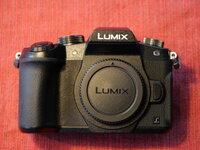 G81_003.jpg
