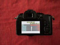 G81_011.jpg