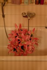 K800_DSC_0621.JPG