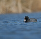 DSCF9869_jiw.jpg DSCF9869_jiw.jpg