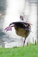 kurz_CI1E5596-n_e.jpg kurz_CI1E5596-n_e.jpg