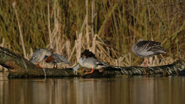 DSCF0084_jiw.jpg DSCF0084_jiw.jpg