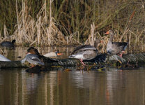 DSCF0318_jiw.jpg DSCF0318_jiw.jpg