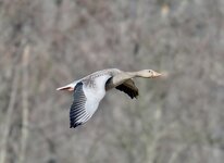 P3100178.jpeg P3100178.jpeg