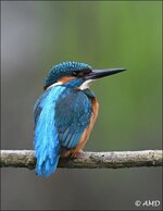 c_DSC_9257.jpg
