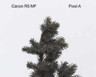 Canon-R5-MF.gif