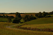 DSC_2817.JPG