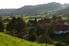 P50 01.jpg