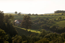 P50 03.jpg