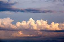 IMG_3576_800.jpg
