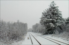 winter-P1201267-dslr.jpg