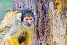 DSC01138_DxO-On1_small.jpg