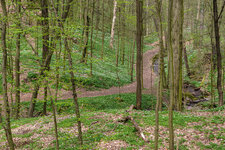 2024-03-31 13-07-54 Osterwanderung Großsedlitz - Dohna - Spargründe.jpg