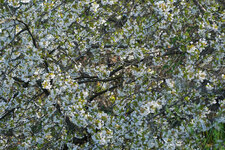 DSCH4869_jiw_jiw.jpg