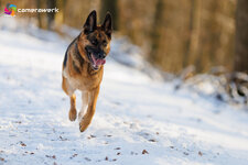 Schnee_020.jpg