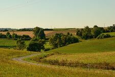 DSC_2817_01.JPG