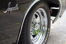 impala (1).jpg