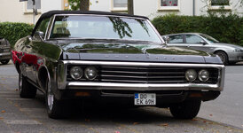 impala (4).jpg