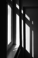 DSC_0503.jpg