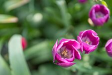 comp_DSC01072-2.jpg