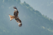 DSC_0020reedit.jpg