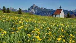Ostallgäu-032.jpg