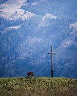 DSC_0494-Verbessert-RR.jpg