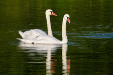 DSCF5598.jpg