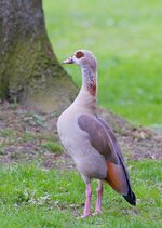 k_DSCF0861-n.jpg
