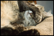 img2005-02-13-141950.jpg