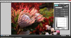 picture style editor.JPG
