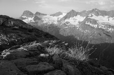R0020408.jpg