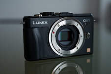 LumixGX1-1.jpg