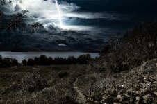 Ferropolis See bearbeitet neu.jpg