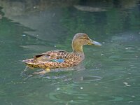 Zoo-KA_2024_462.jpg