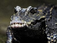 Zoo-KA_2024_095.jpg