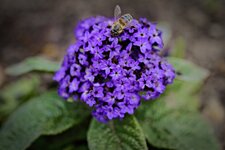 XT5A0577-dxo-R.jpg