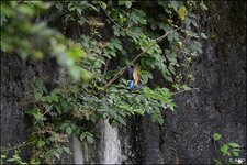 c_DSC_2852.jpg