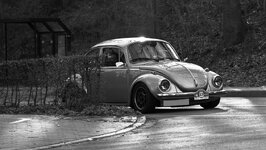 Käfer02.jpg
