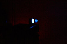 IMG_9381.jpg