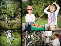 flickr_Apfellese 2013.jpg