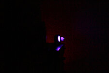IMG_9383.jpg