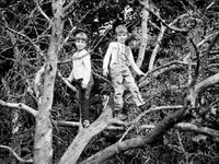 comp_Apfellese 2013 077_ji_sw.jpg