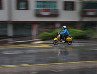 rollerIMG_7260.jpg