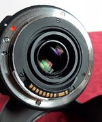 Sigma17-70-2.jpg