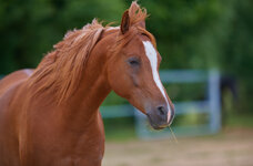 IMG_3441.jpeg