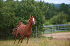 IMG_3443.jpeg
