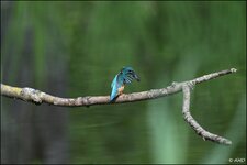 c_DSC_3386.jpg